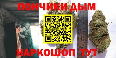 крисы Будённовск
