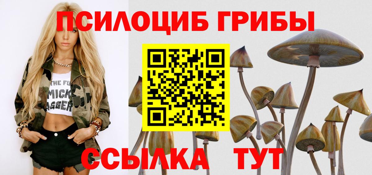 Галлюциногенные грибы MAGIC MUSHROOMS  закладки  Павловский Посад  Вход с VPN 
