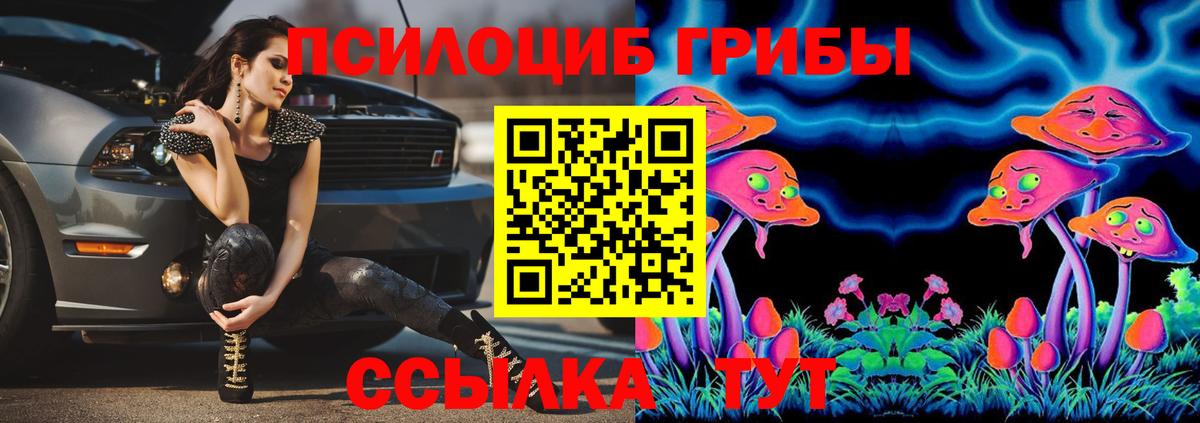 Галлюциногенные грибы Magic Shrooms Павловский Посад