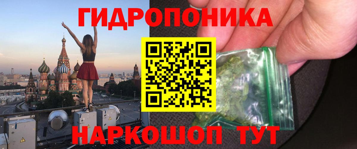 Шишки марихуана марихуана Павловский Посад